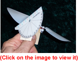 Freedom Flight Models